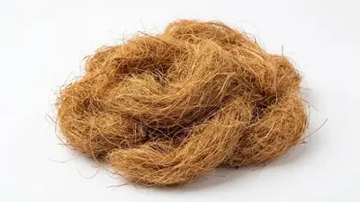 Fibra de coco a granel (bristle) da Carve Substratos